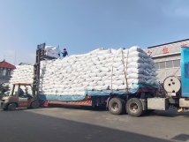 把握機(jī)遇、鉚足干勁、承勢(shì)而上