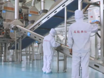 2025年的第一個(gè)月，承德亞歐果仁有限公司在山杏產(chǎn)業(yè)的道路上持續(xù)奮進(jìn)，展現(xiàn)出蓬勃的發(fā)展活力。